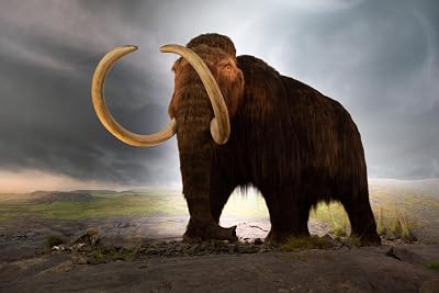 ConversationPrints EXTINCT WOOLLY MAMMOTH TUSKS GLOSSY POSTER PICTURE PHOTO PRINT BANNER