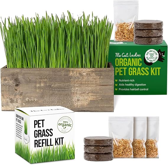 TCL Rustic Wooden Planter Cat Grass Kit with Refill