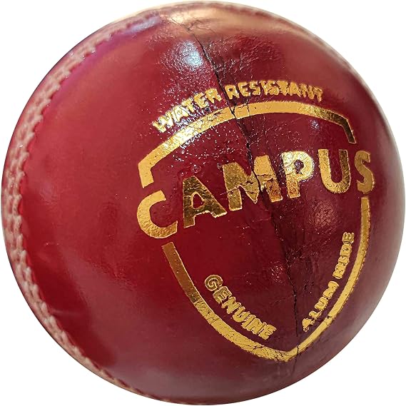 SG campus four piece leather cricket ball - red