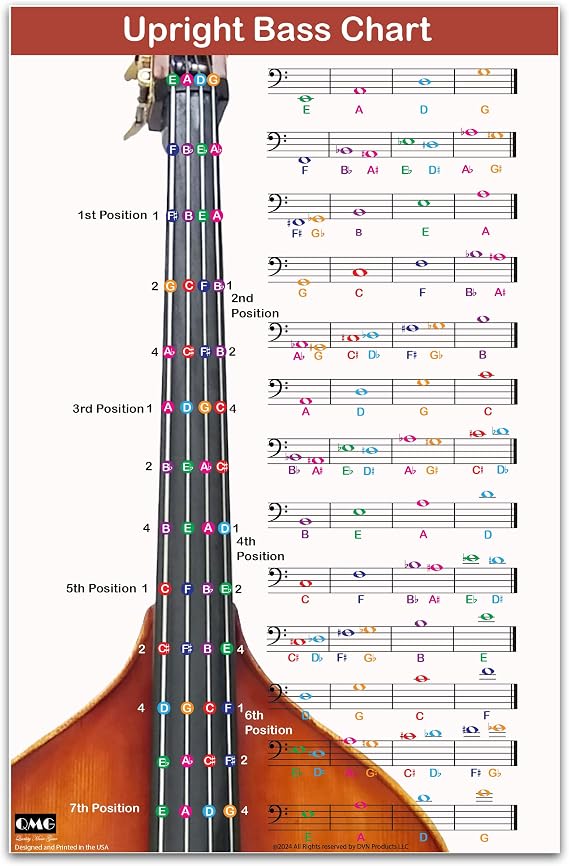 QMG Upright Bass Fingering Chart with Color-Coded Notes, Double Bass Chart Suitable for All Levels, Laminated, Size 11 x 17