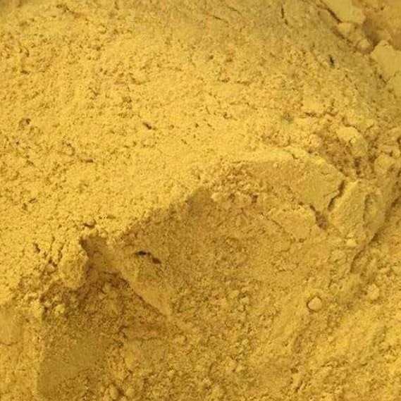 Plum Dragon Pu Huang (Cattail Pollen) Typha angustifolia L | Chinese Herb (1 Oz)