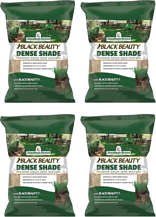 Jonathan Green Black Beauty Dense Shade Mixed Full Shade Grass Seed 1 lb