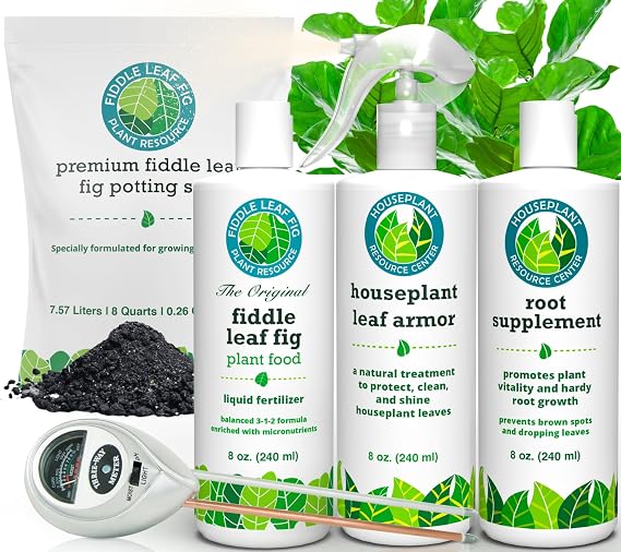 Ultimate Fiddle Leaf Fig Care Bundle