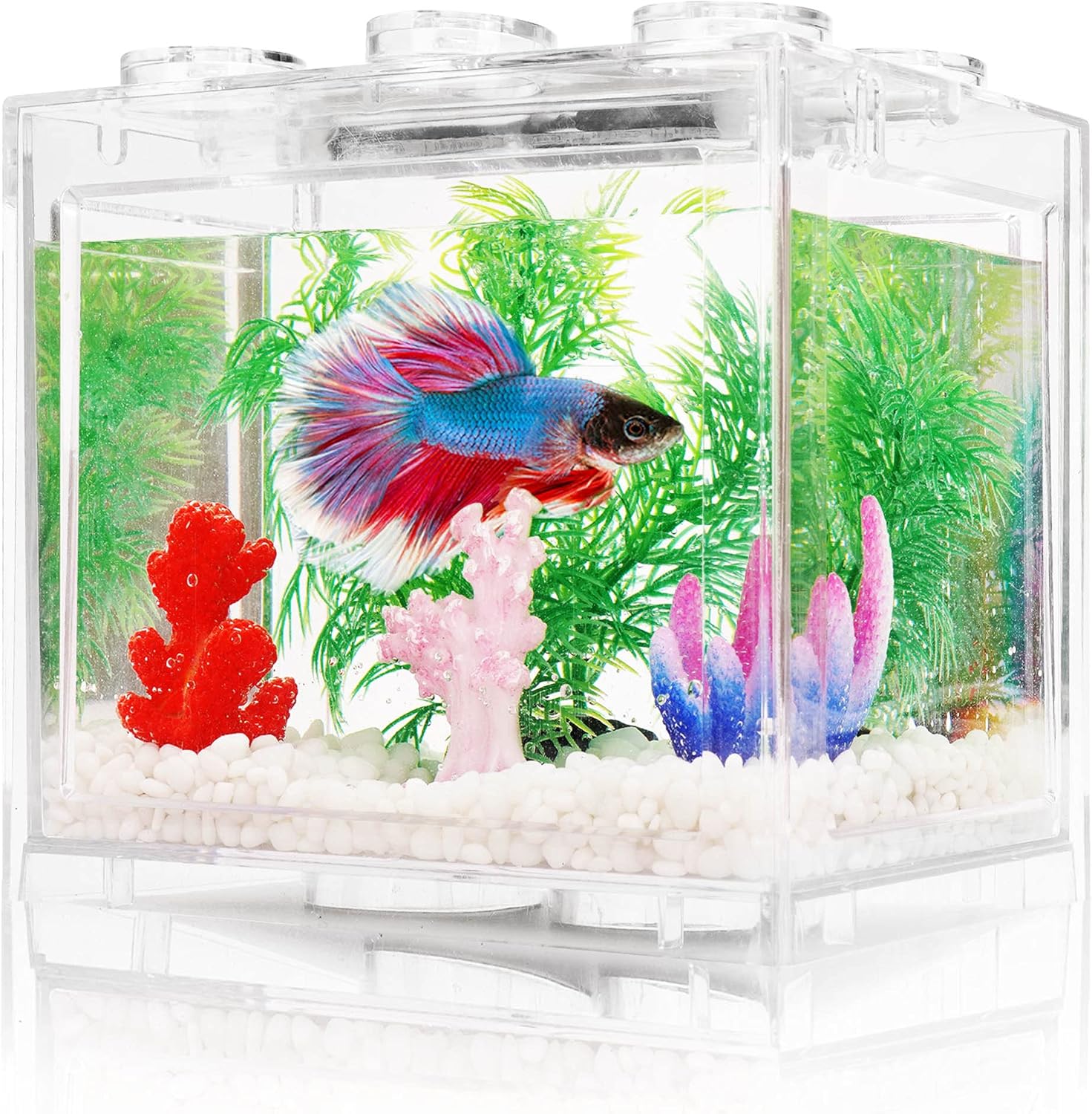 Oltraman Small Betta Fish Tank, Aquarium Tank Set with LED Lighting, 0.6 Gallon Stackable Beta Fish Tank Set, Fish Bowl for Turtle Reptile Shrimp Crab Bugs as Decoration