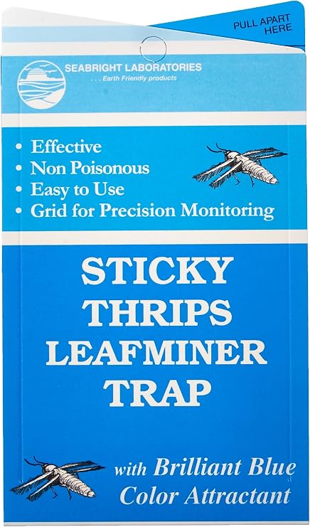 Seabright HGSLTLT Sticky Thrip Leafminer Trap, Pack of 5
