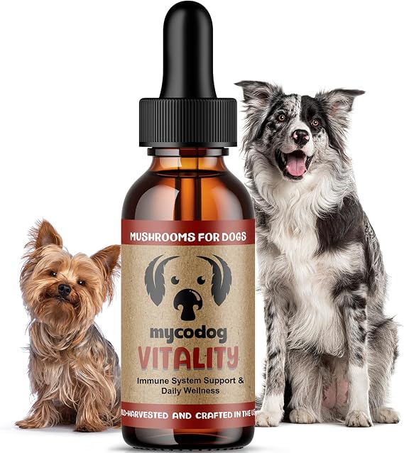 MycoDog Vitality 20-in-1 Mushroom, Turkey Tail for Dogs, Daily Immune Boost | Senior dog & daily wellness adaptogen with turkey tail mushroom, reishi & chaga.