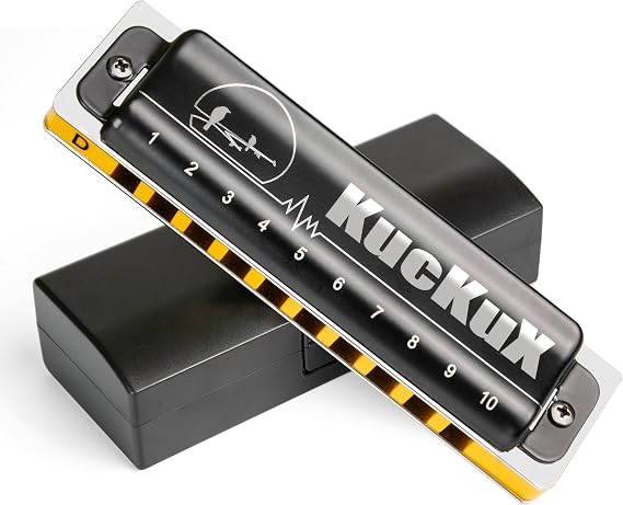 Diatonic Harmonica of D Key,Blues Mouth Organ 10 Holes 20 Tones, Reed of Phosphor Bronze, ABS Combo, Easy-Clean Cover, Blues Harp for Adult, Beginner