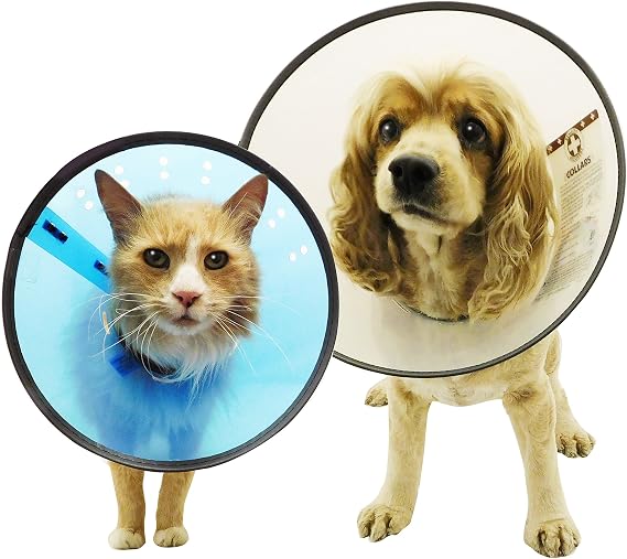 DOGSWELL Remedy and Recovery E-Collar, Small, Colors Vary, Assorted (Packaging May Vary)