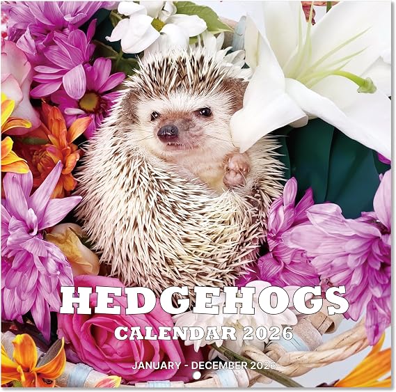 2026 Calendar - 2026 Wall Calendar, Jan. 2026 - Dec. 2026, 12" x 24"(Open), 12 Months Wall Calendar 2026 with Premium Paper, Unruled Blocks, Excellent for Planning/Convenient Life - Cutie Hedgehog