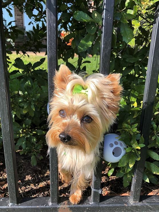 FenceMate Dog Harness to Keep Your Pets On The Safe Side of The Fence-Dog Safety Harness (Small) Fits Chest 12"-16" (Measure Girth Before Ordering) Improved No Escape Dog Harness | Keep Pets on the Safe Side of the Fence, Dog Safety Harness